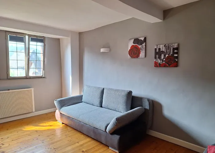 Moselperle- Urlaub Im Historischen Fachwerkhaeuschen Апартаменты *